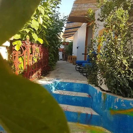 Bed & Breakfast D'arte